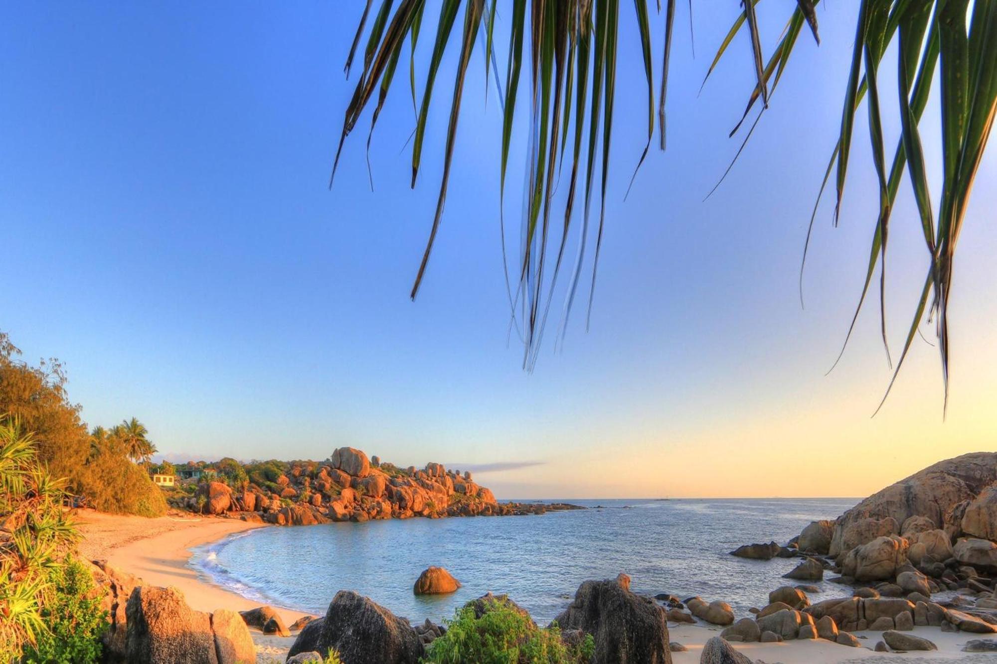 Coral Cove Apartments - Absolute Beachfront Resort Bowen Exterior foto